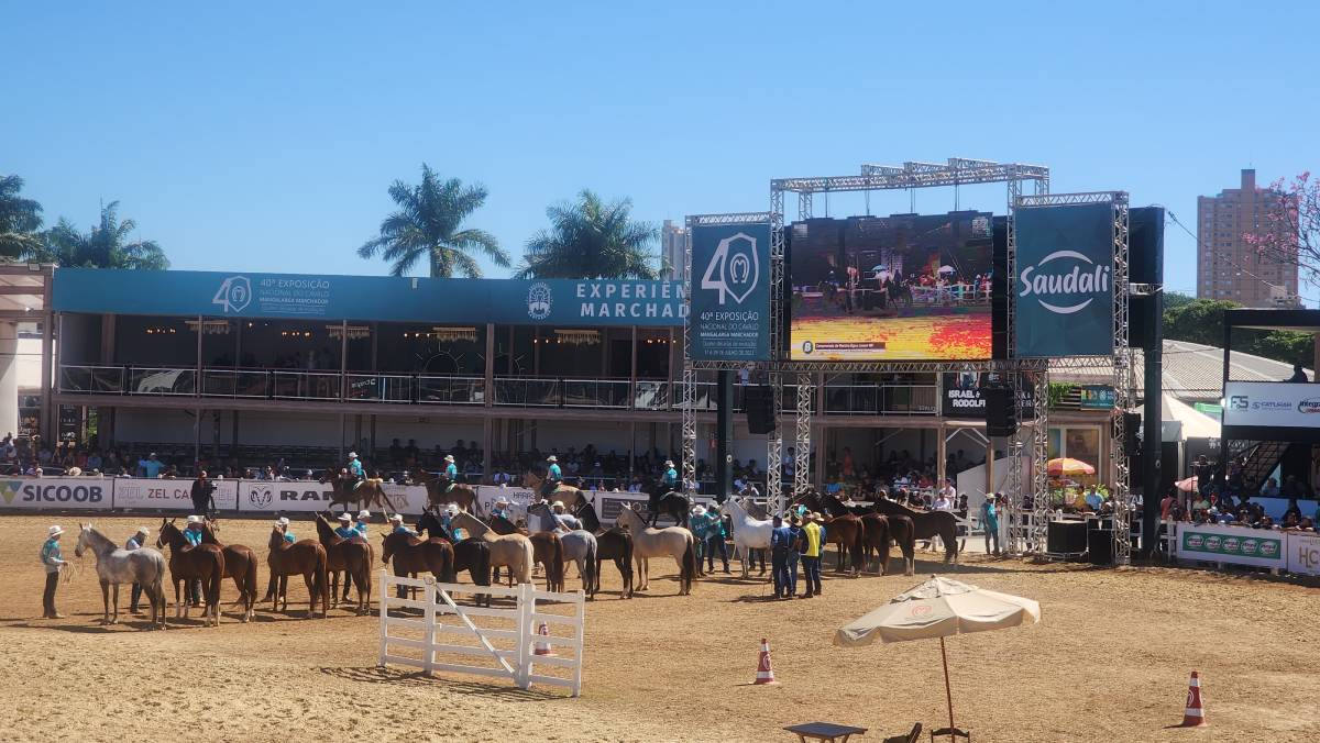 O manejo adequado para a recuperação de cavalos atletas após atuação em campeonatos é de suma importância para manter a qualidade da saúde animal. Uma das...