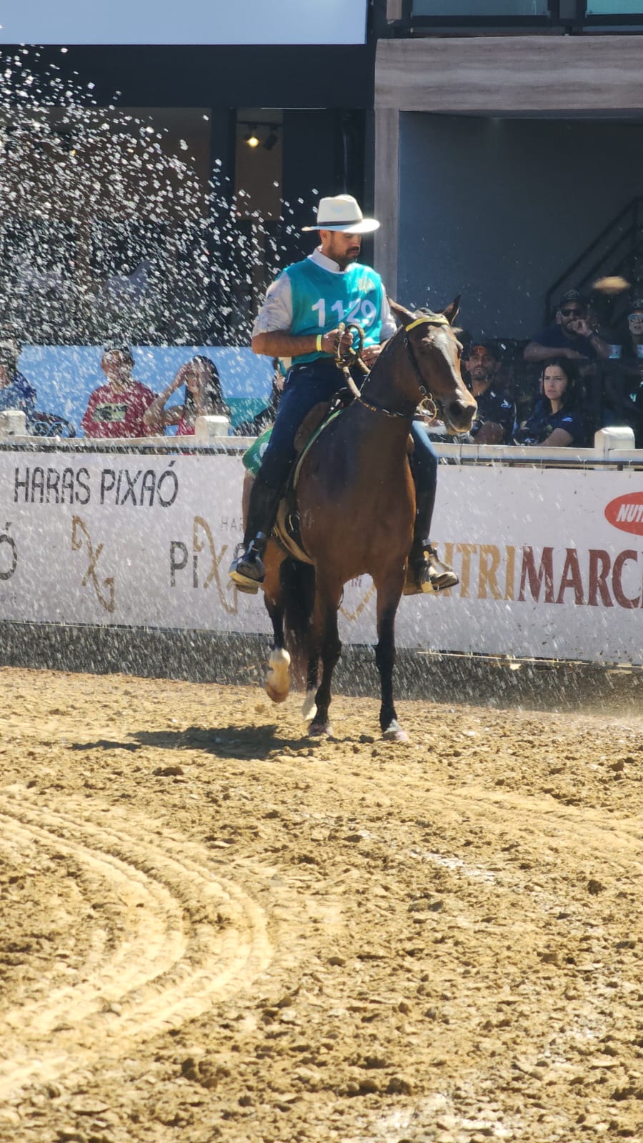 O manejo adequado para a recuperação de cavalos atletas após atuação em campeonatos é de suma importância para manter a qualidade da saúde animal. Uma das...