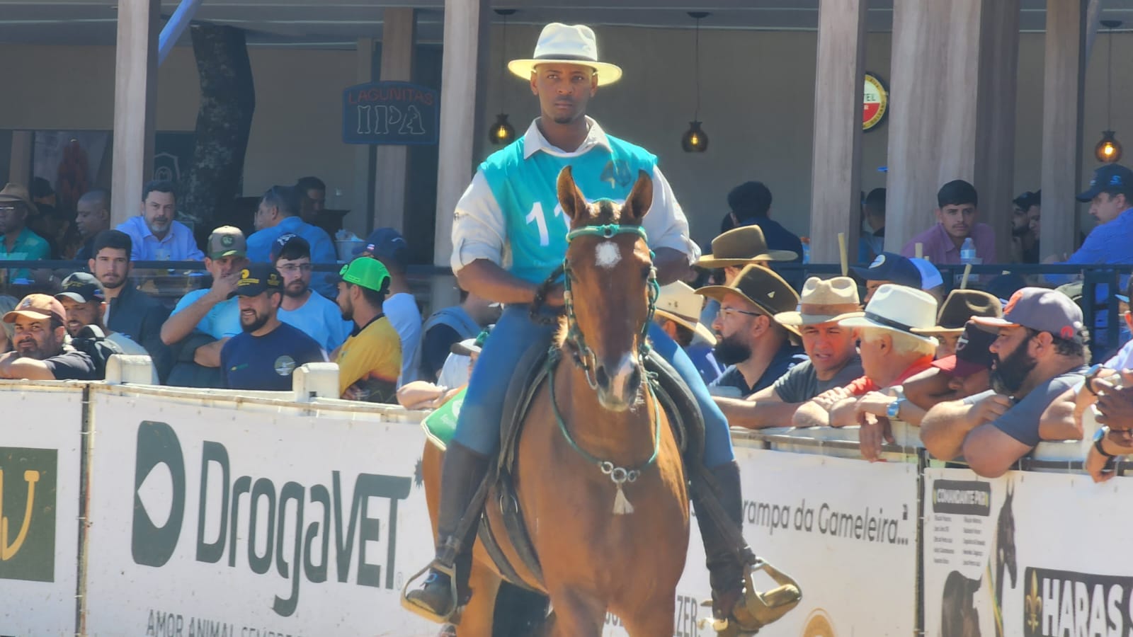 O manejo adequado para a recuperação de cavalos atletas após atuação em campeonatos é de suma importância para manter a qualidade da saúde animal. Uma das...