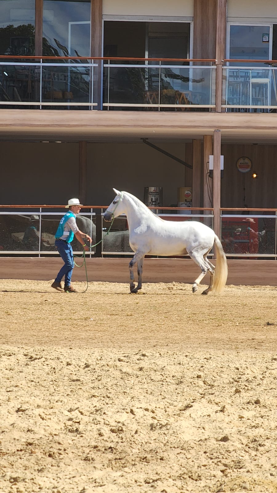 O manejo adequado para a recuperação de cavalos atletas após atuação em campeonatos é de suma importância para manter a qualidade da saúde animal. Uma das...