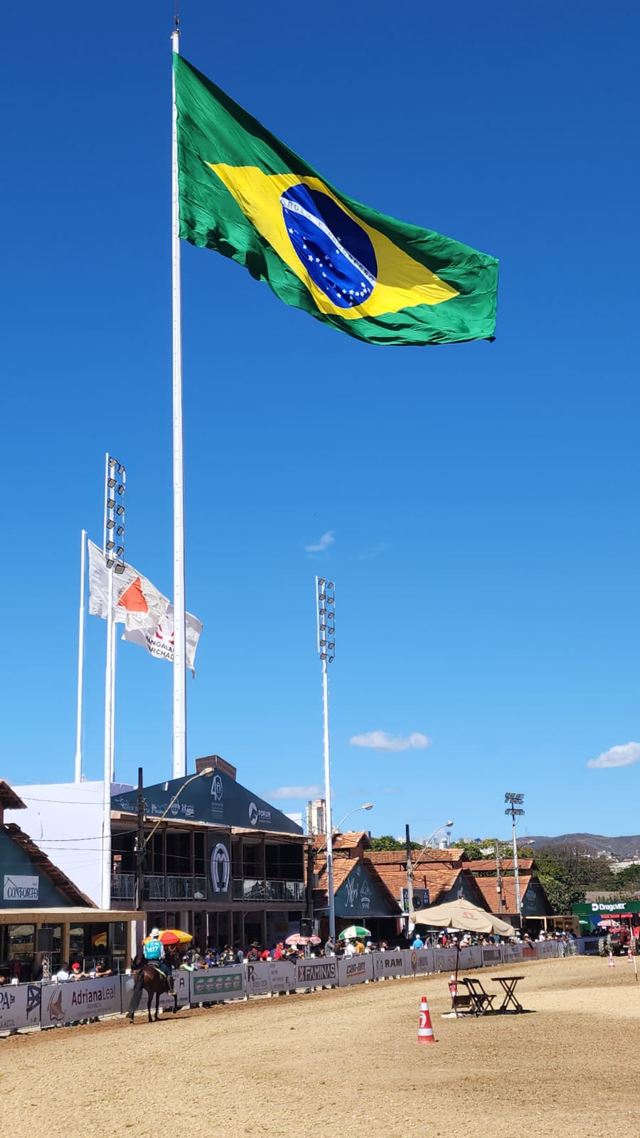 O manejo adequado para a recuperação de cavalos atletas após atuação em campeonatos é de suma importância para manter a qualidade da saúde animal. Uma das...