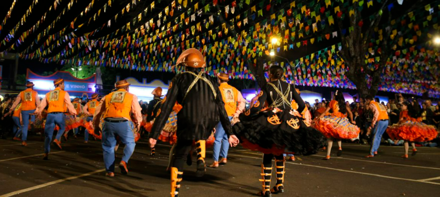 Com a chegada das festas tradicionais, Juninas e Julinas, descubra como você deve agir efetivamente no auxílio a redução dos impactos dos ruídos externos em seu pet