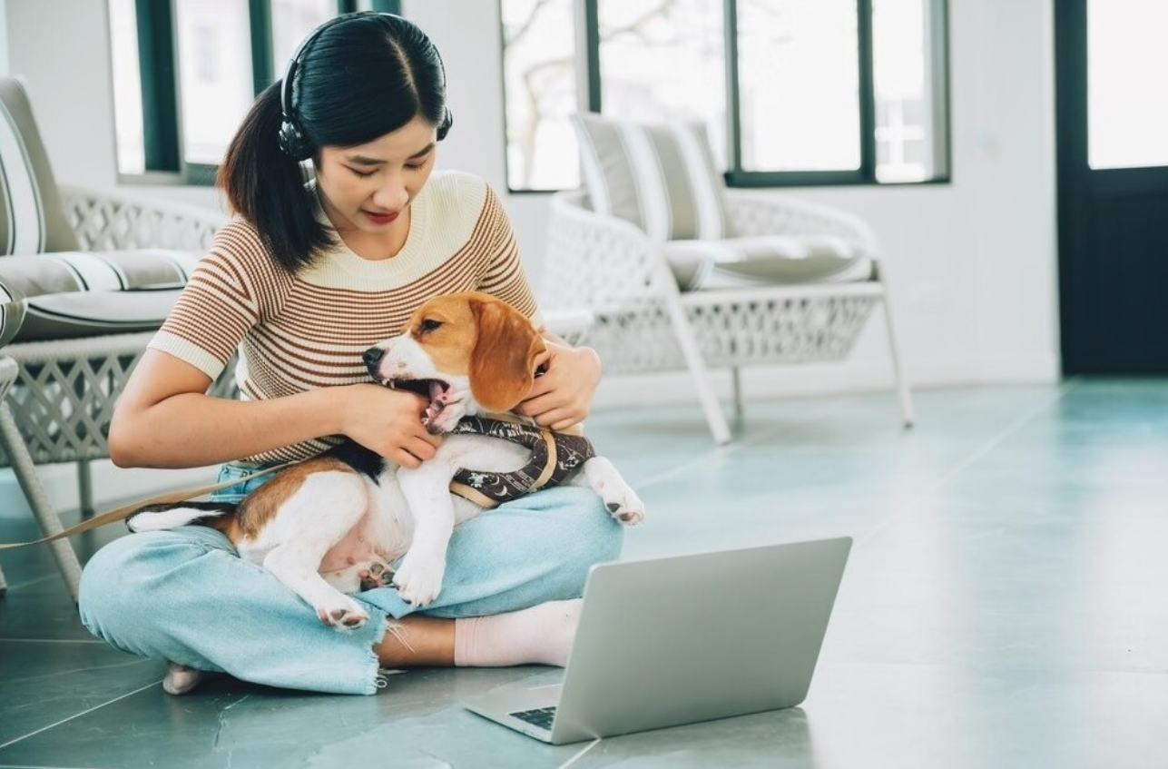 A telemedicina animal é um serviço que veio para complementar o atendimento veterinário tradicional e facilitar a vida de tutores de pets de todo o Brasil....