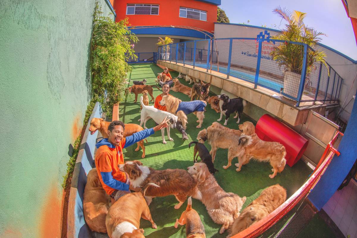 O Dia das Crianças está chegando e a imaginação da equipe do Patinhas Urbanas já está a mil! Para mimar ainda mais os seus AUlunos, uma programação especial...